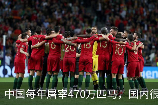 中国每年屠宰470万匹马，国内很少人吃，马肉都去哪了？