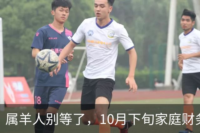 属羊人别等了，10月下旬家庭财务大洗牌，接住这笔钱看这三点