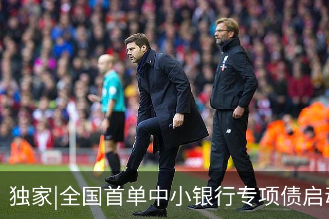 独家|全国首单中小银行专项债启动退出：广东四家农商行股权省内承接，首批套现20亿偿债